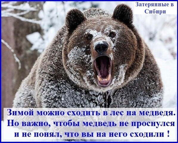 Зимой можно...
