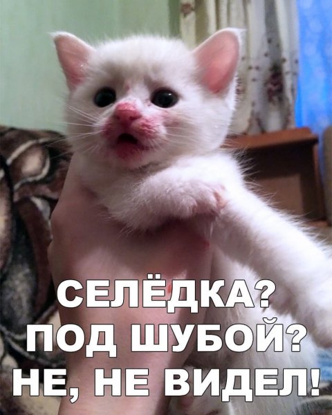Не, не видел!