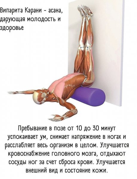 DruDnhGjSbAFjuX7SoQxBf7SeKgVrH0aWbXqcSq7mWEHXW7C