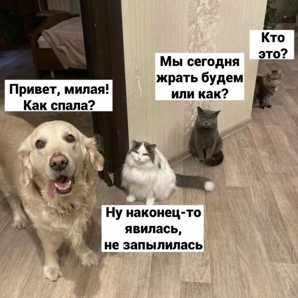 И вам здрасте! ))