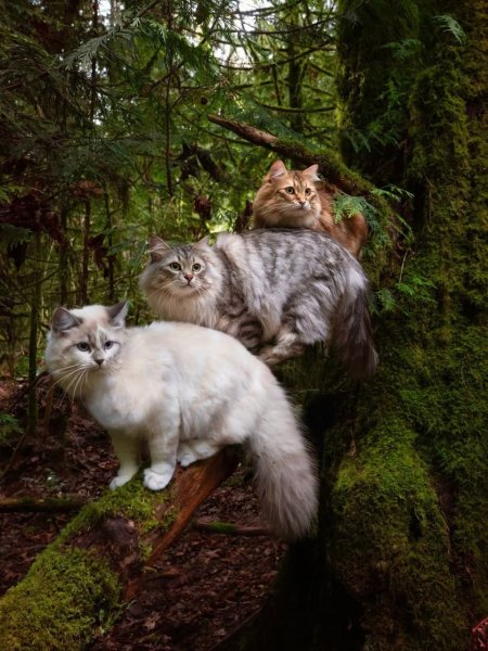 IMAGE BY CATRUS (1)