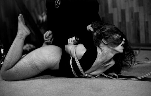 picture_309768300