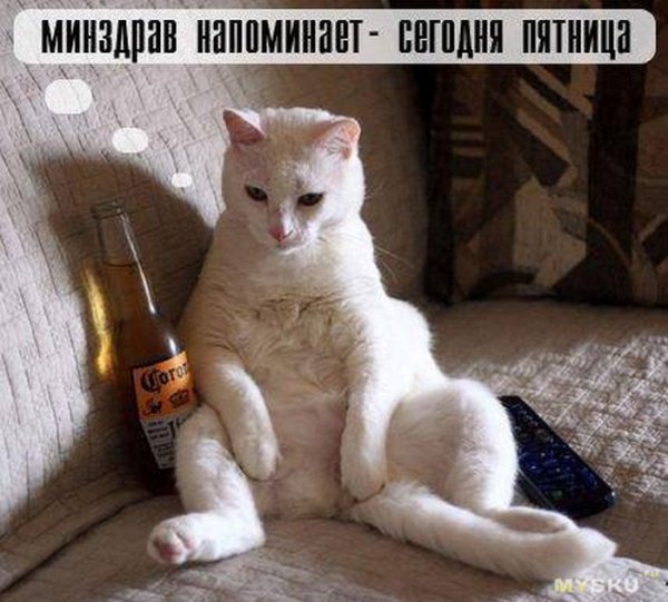 Да! ))