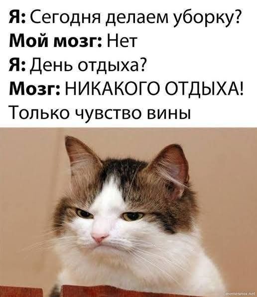 c35cc46f1c4481ebc484e1b3465fc