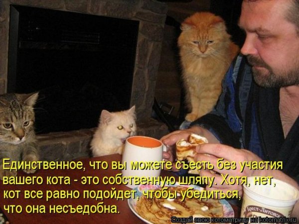 И это так!!!