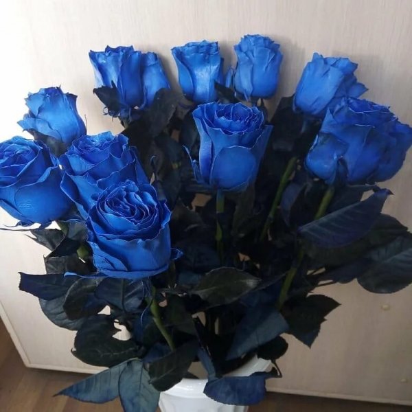 Розы