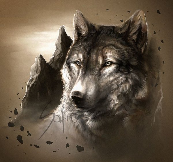 e73d33e46a79ff1e110--wolf-life-wolf-tattoos