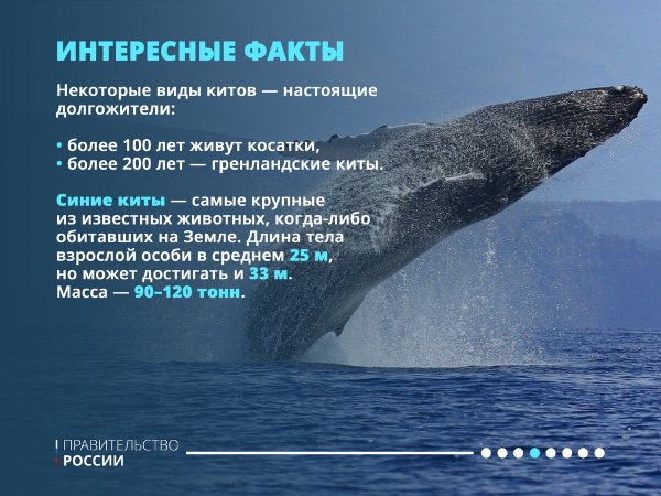Интересные факты