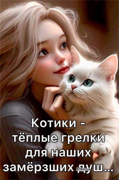 A93wMjZ2zzg
