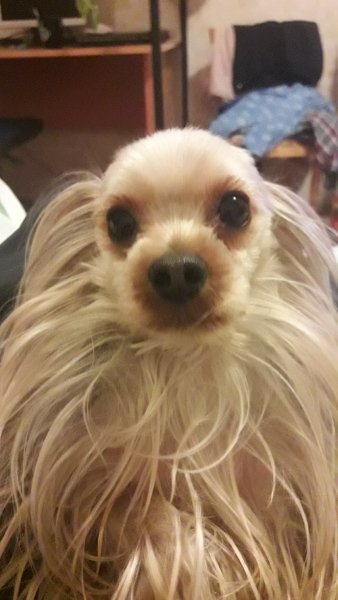 picture_235805495