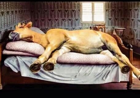 Rest