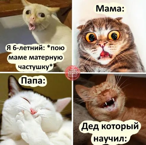 image(4)