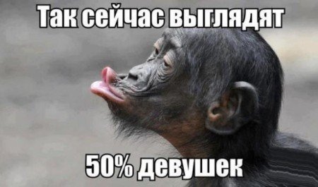 Девушка