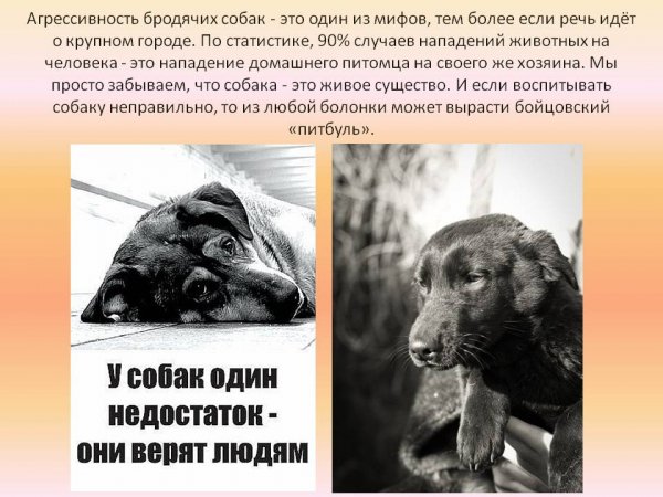 Агрессивность...