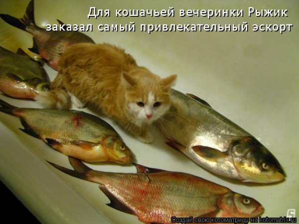 )))