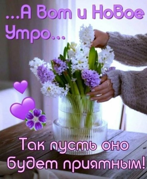 Друзья!
