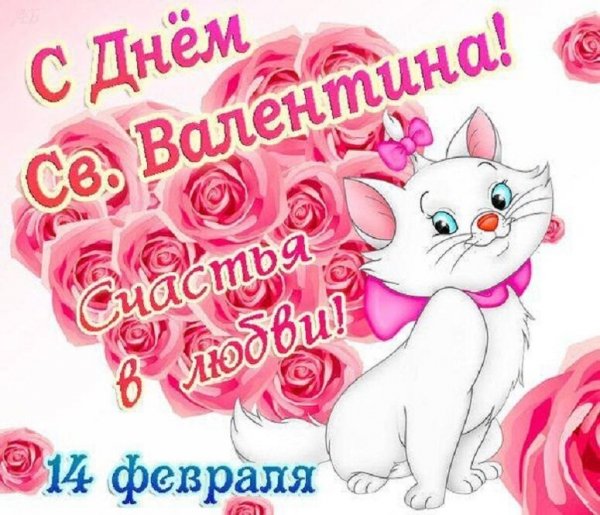 IMG-20200214-WA0007