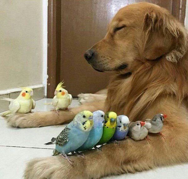 ДРУЖБА