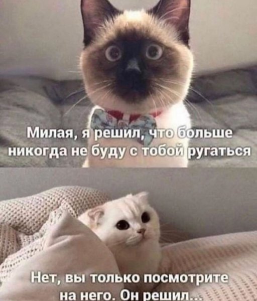 picture_276944924