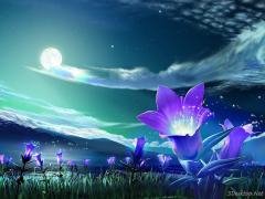 picture_186655340