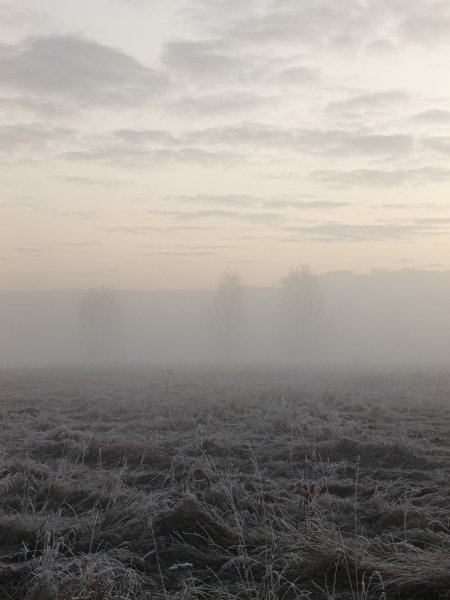 picture_399818847