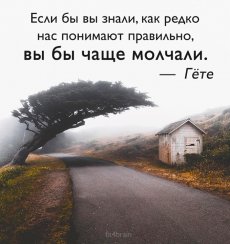 Фитнес для мозга Постила