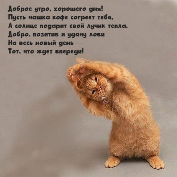 IMG-20250527-WA0002