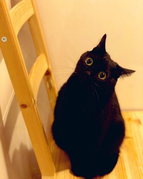 picture_312921199