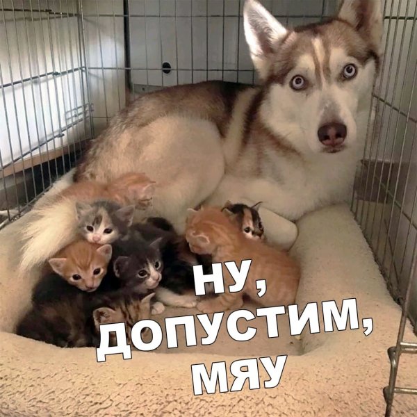 )))