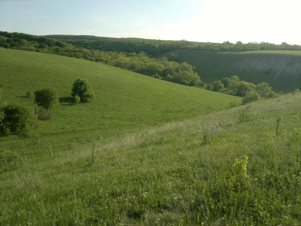 (04-05-2012) Краснодарский край, Россия