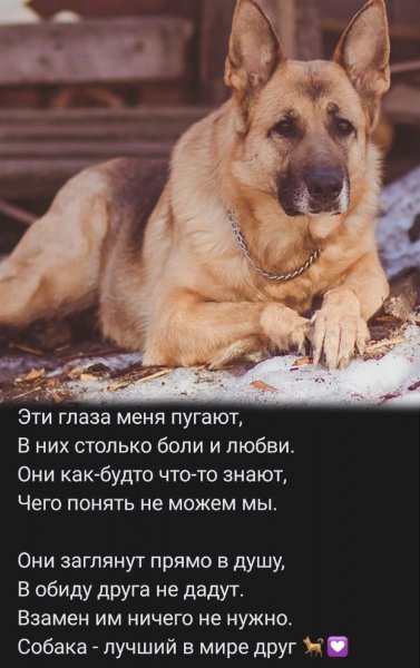 Эти глаза...