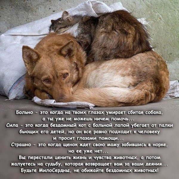 Будьте милосердны...
