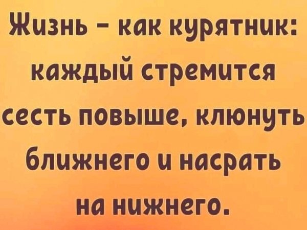 FB IMG 16351989993915291