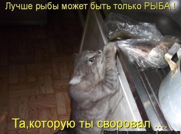 А то!... ))
