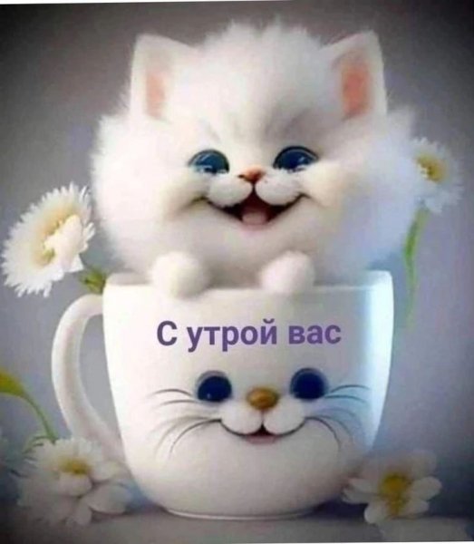 ae610014a658e103d302f035e65b
