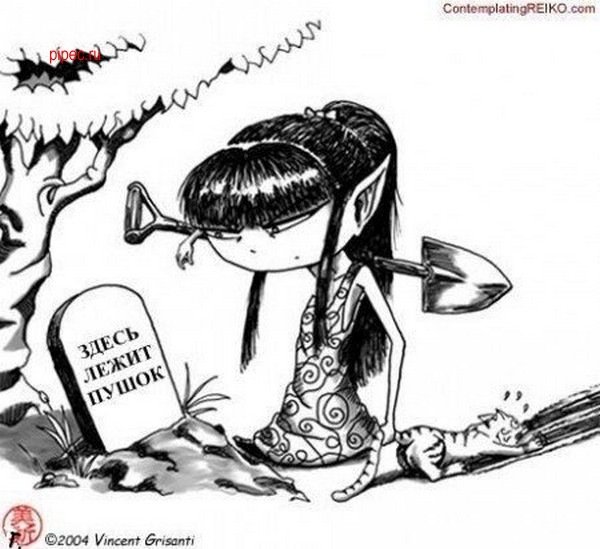 picture_84140145