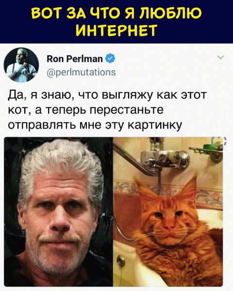 Схожесть