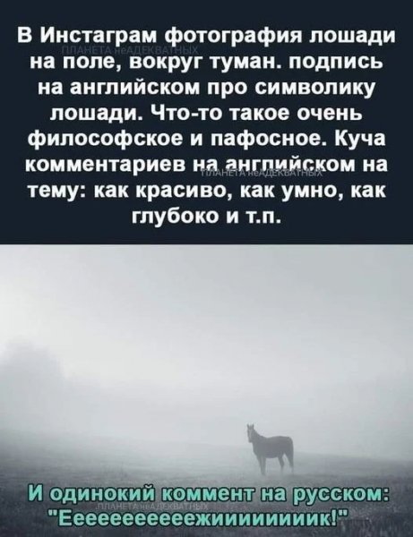 4gv7bjyf