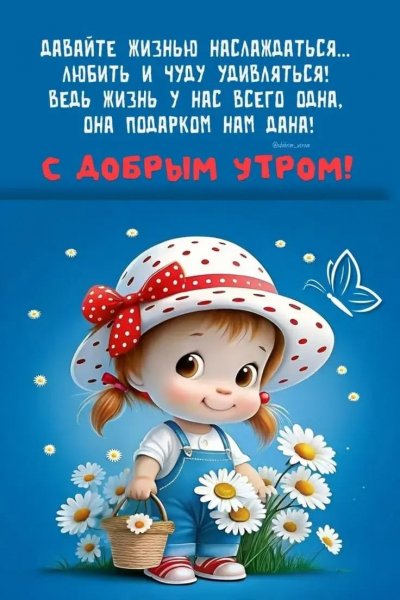 cd7efba8b41b5c269d0e48384
