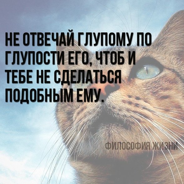 Верные слова!