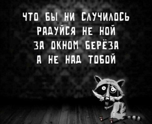 Не ной )
