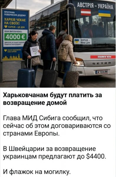 IMG 20260602 165442