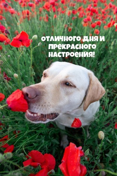 Всем вам!