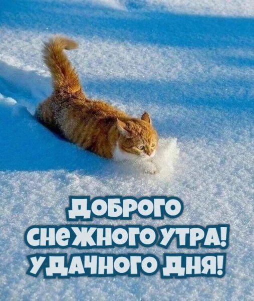 Всем вам!
