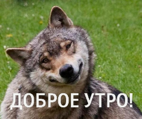Доброе утро!