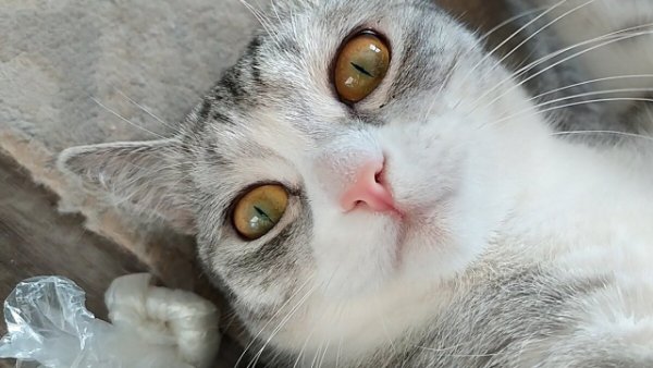 I (76)