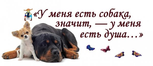 image-19