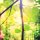 img-45562-keygen-