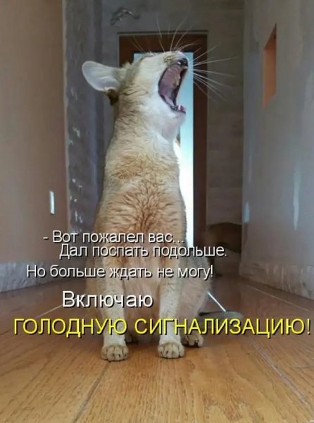 Опаньки!
