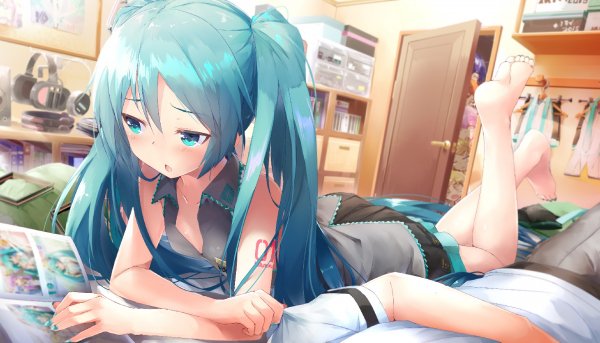 Hatsune-Miku-Vocaloid-Anime-daidou-4046393